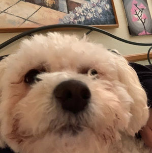 Meet your Posher, Zoe